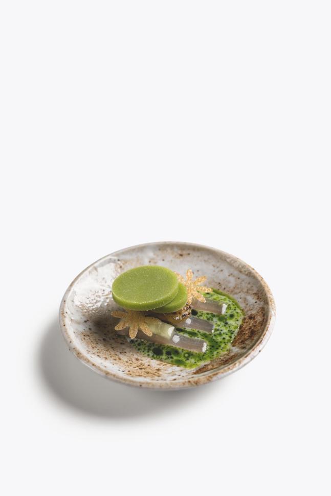 Gebeizter Zugersee-Felchen, Gurke, Kohlrabi und Dill