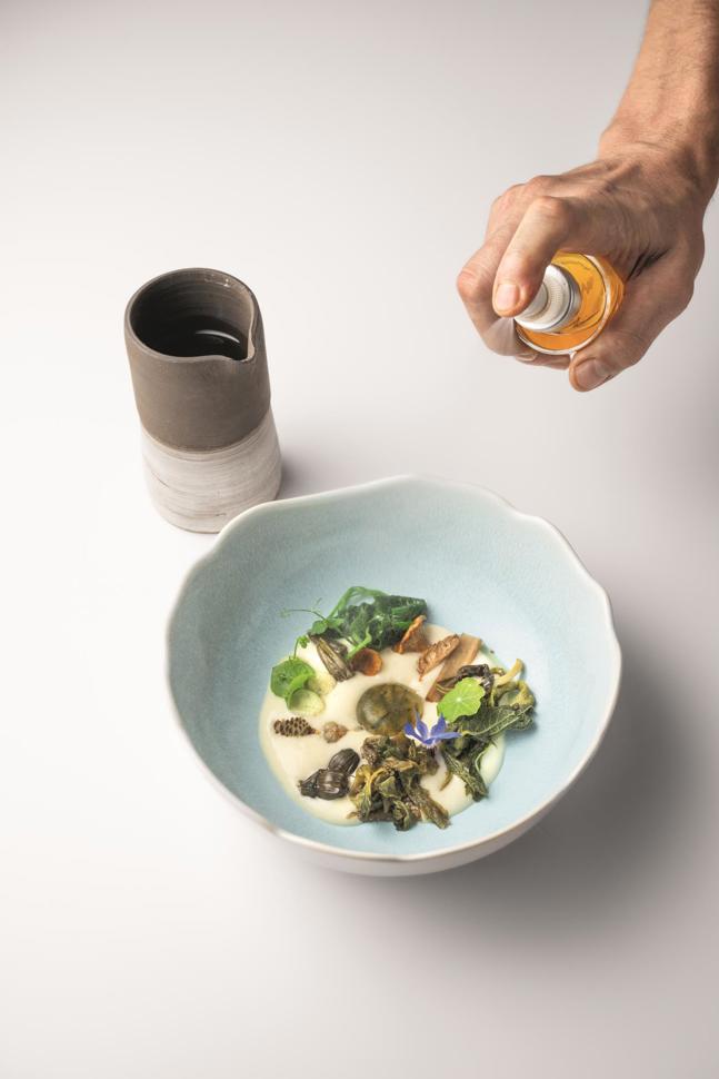 Minestrone di Bosco